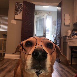 Meet your Posher, James